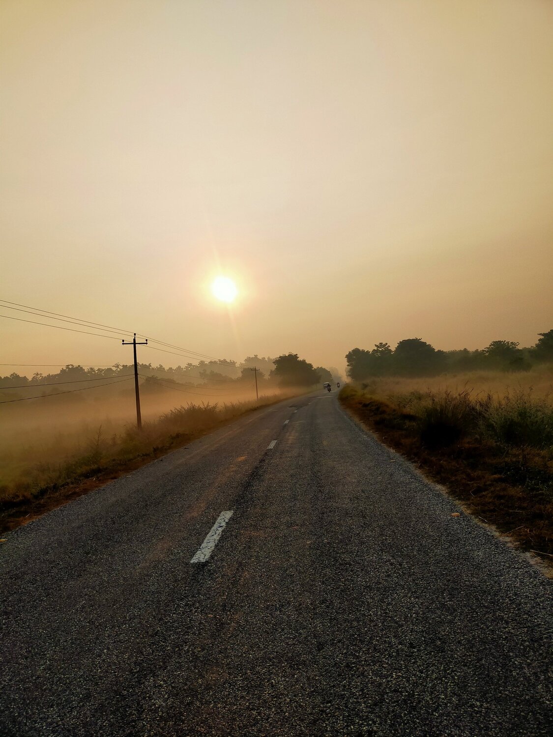 Photo #5406231