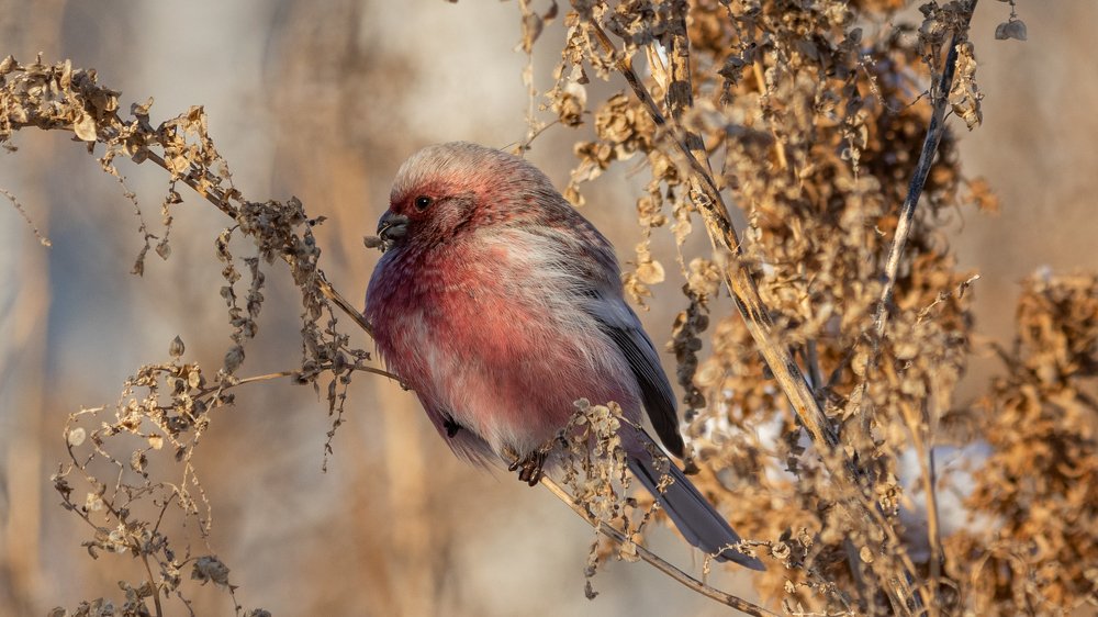 Photograph by crashfil