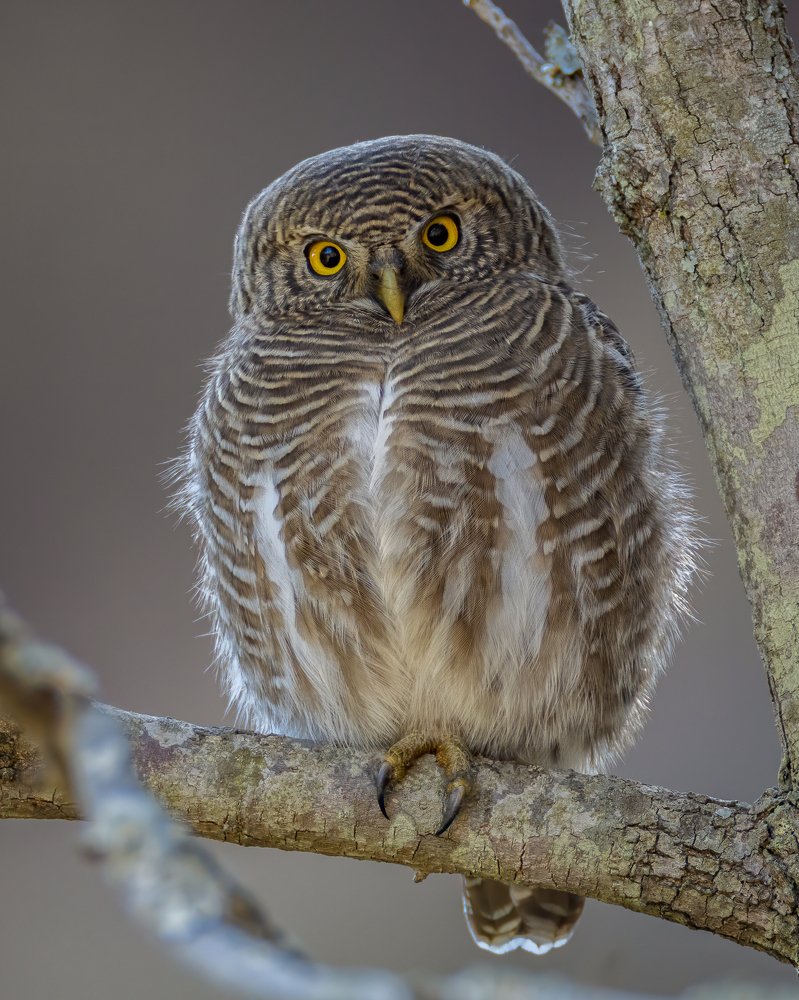 Photograph by Rahul Khadiwala