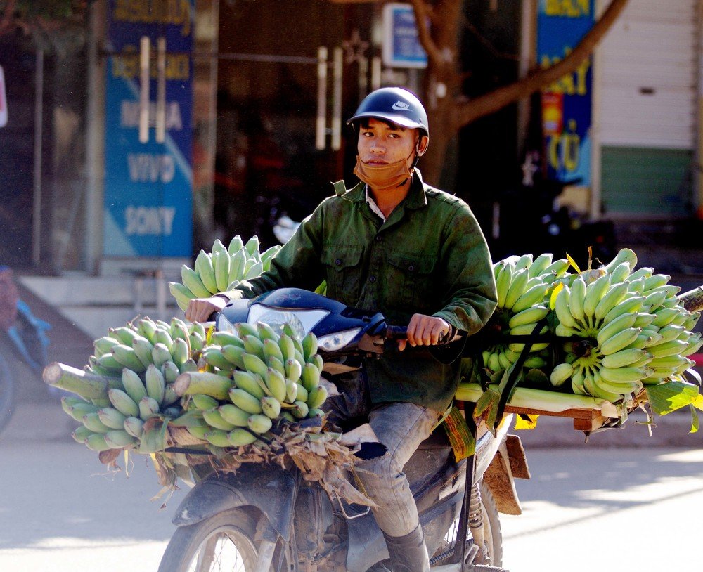 Photograph by Đinh Giao Hữu