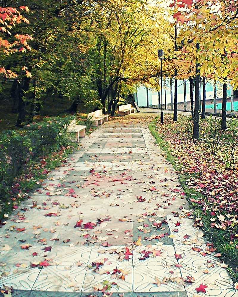 Photograph by Николай Ковальчук