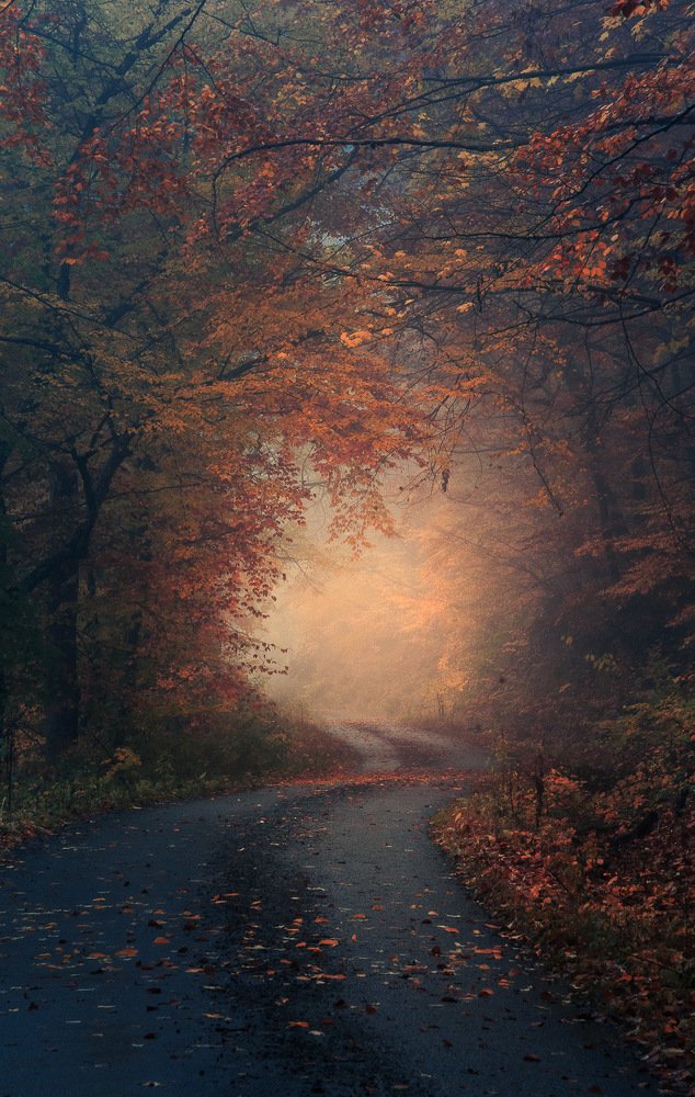 Photograph by Erik Baran