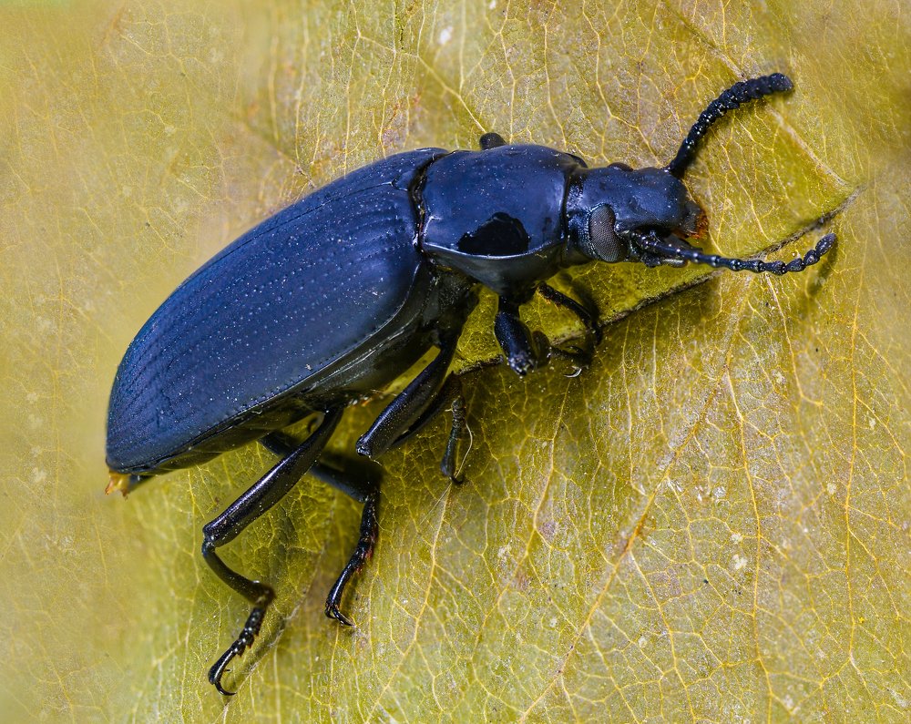 Photograph by Олег Урасов