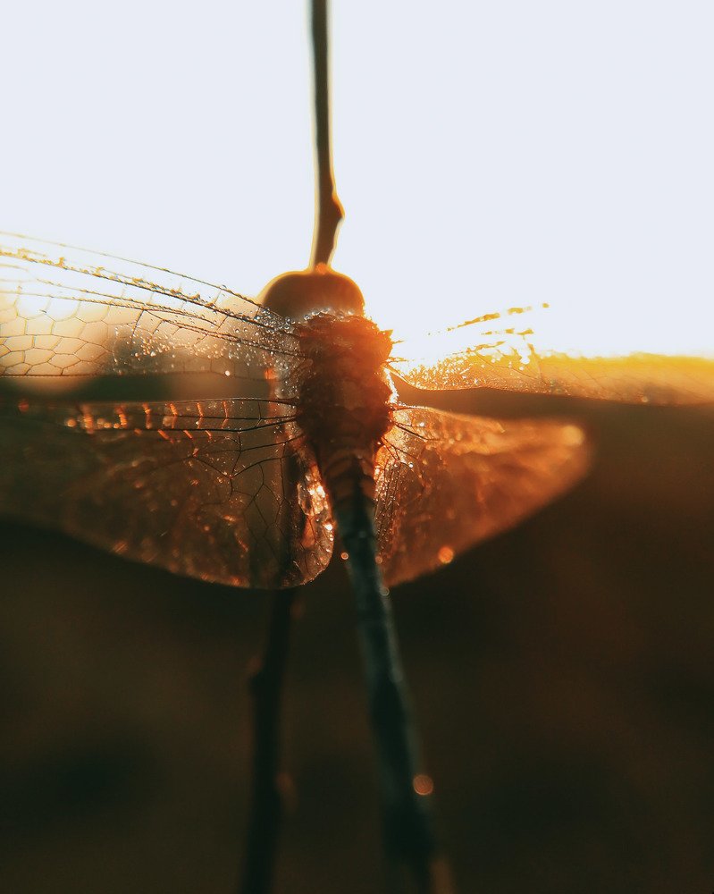 Photograph by Abhishek kumar