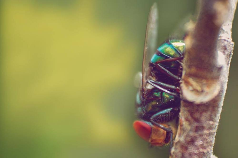 Photograph by Steeven Vaithi