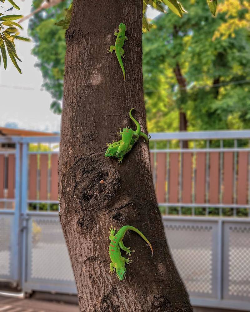 Photograph by Steeven Vaithi