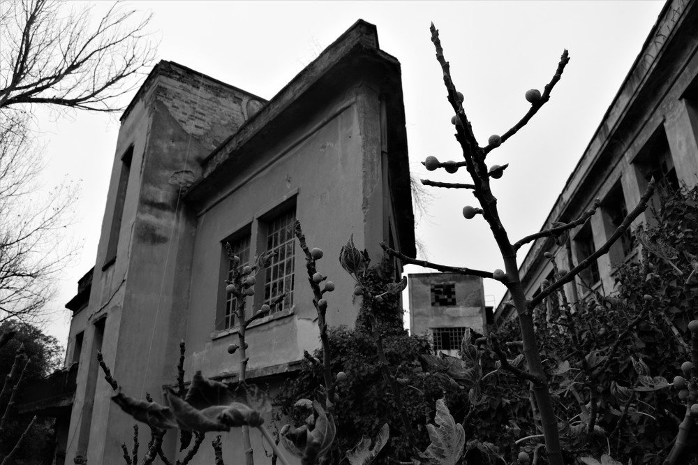 Photograph by Nantia Papanastasiou