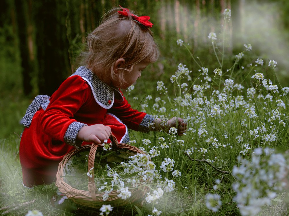 Photograph by Toma Samuole