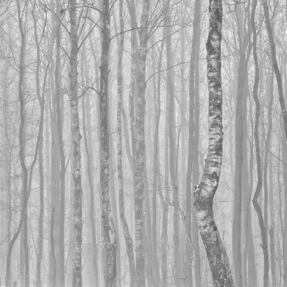 Photograph by Андрей Сухорученков