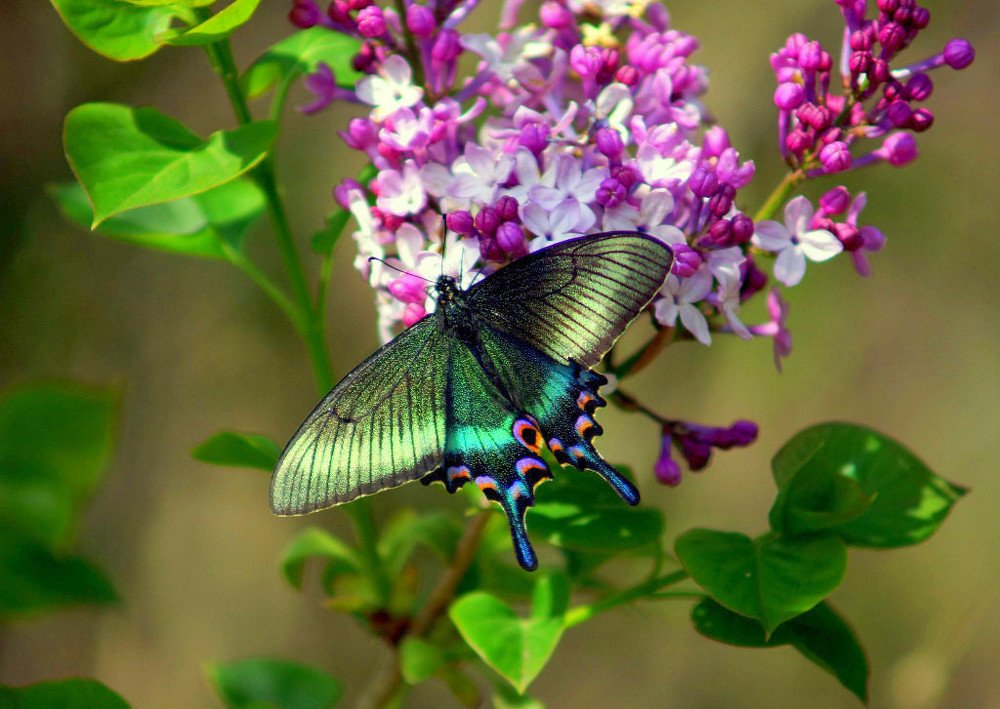 Photograph by Виктор Игнатенко.