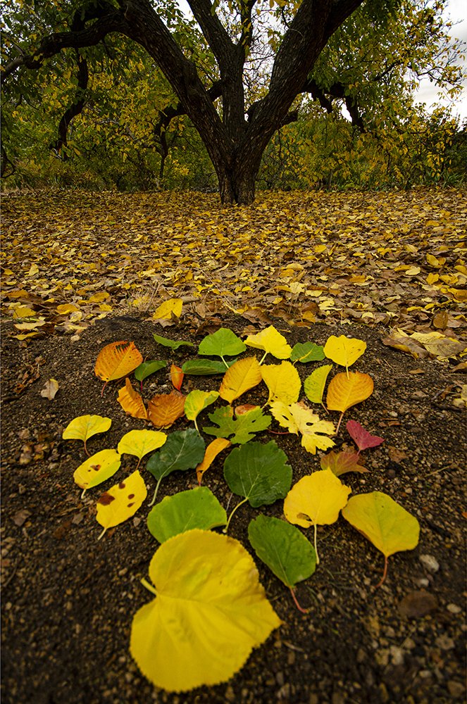 Photograph by Şaban Ok