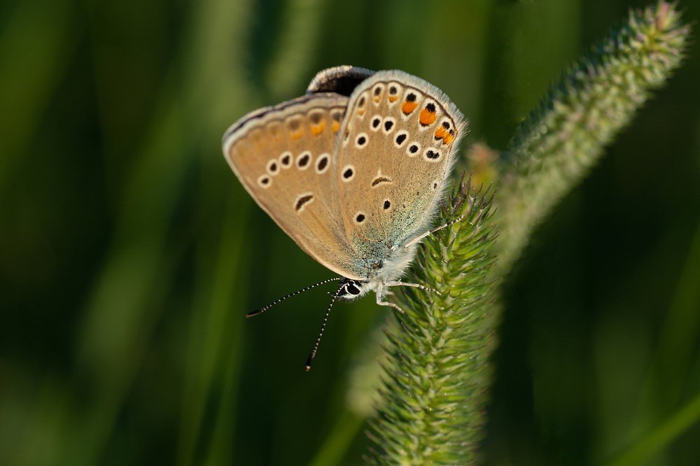 Photograph by Александр Калегин