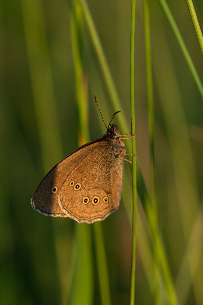 Photograph by Александр Калегин