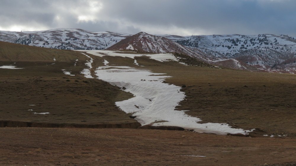 Photo #5406745