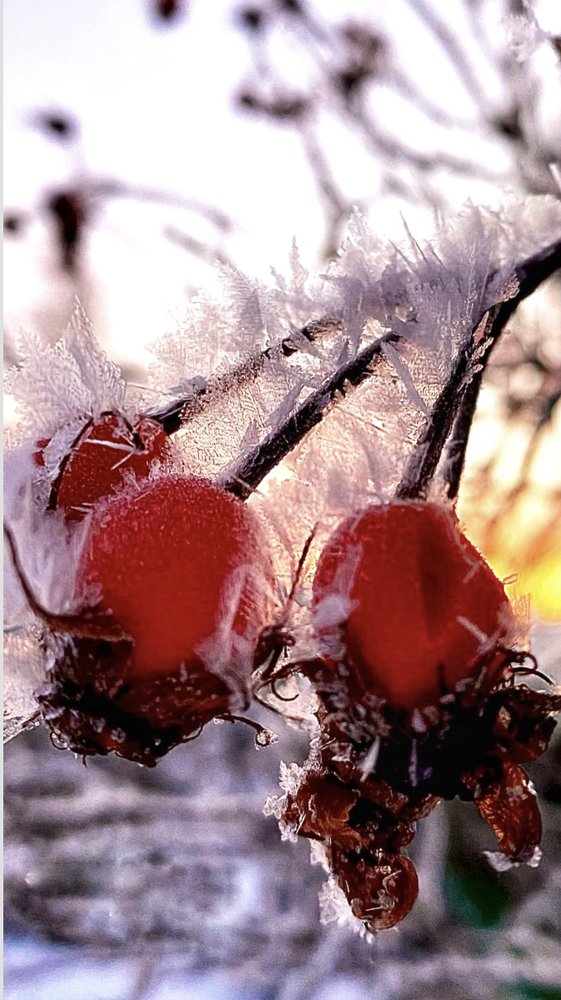 Photograph by Ольга Демашова