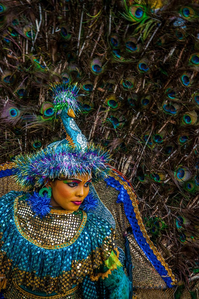 Illustration of Nature