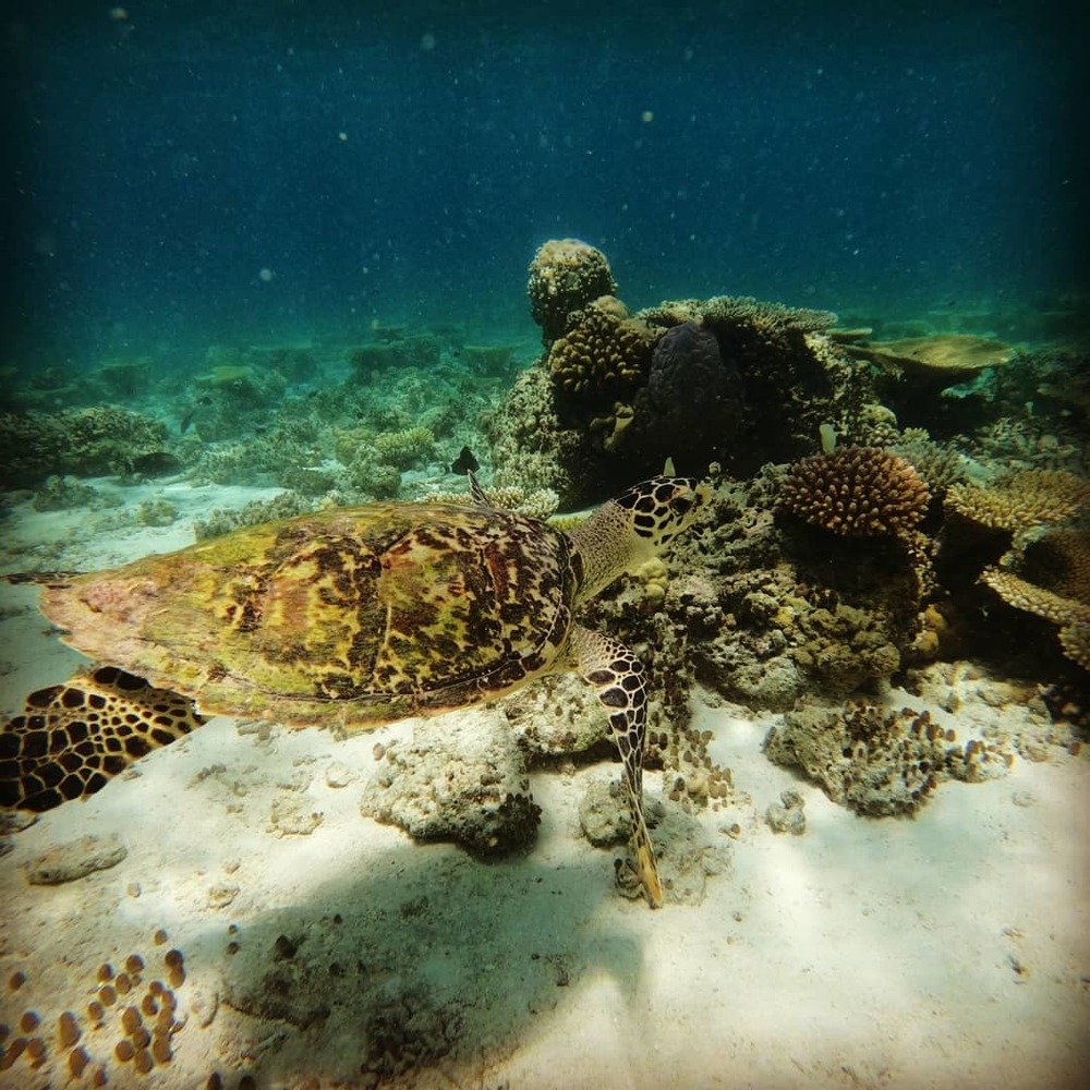 Photograph by Павел Пастухов