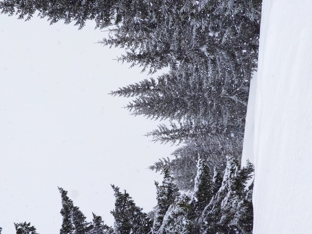 Photograph by Zoriana Rybak