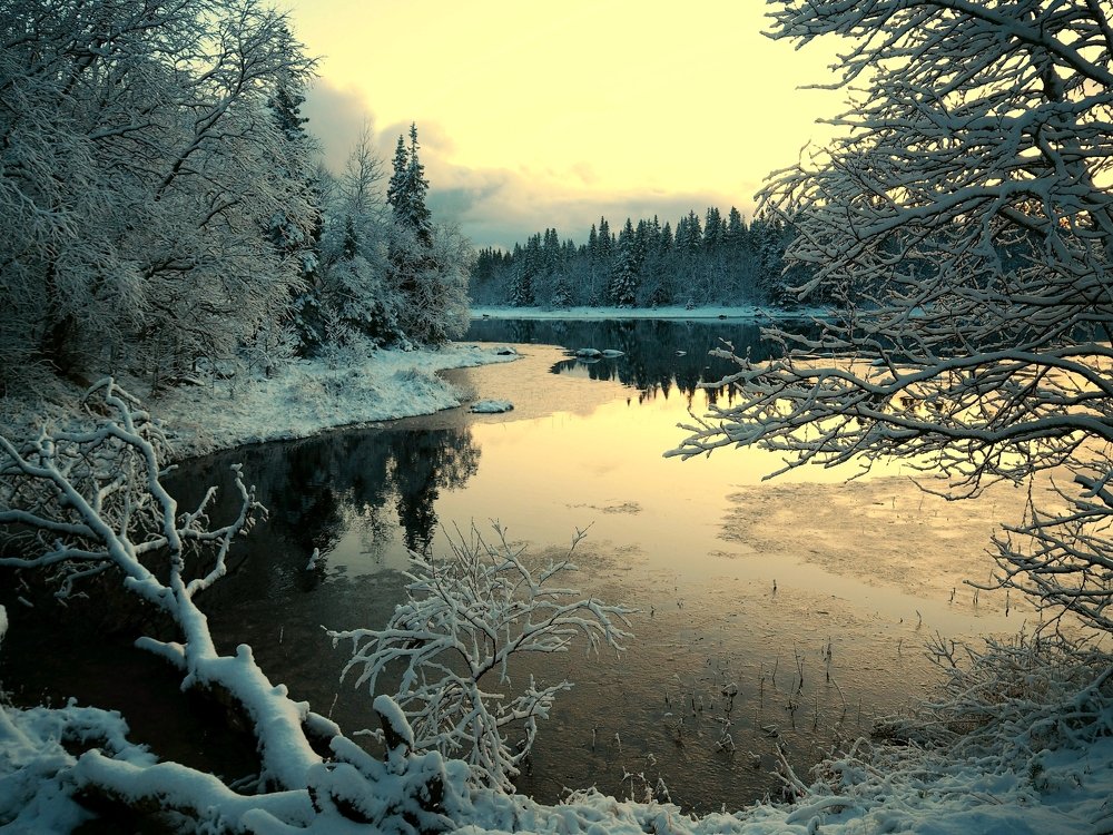 Photograph by Евгений Яковлев