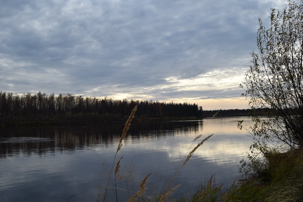 ЯНАО, р. Пякупур, сентябрь