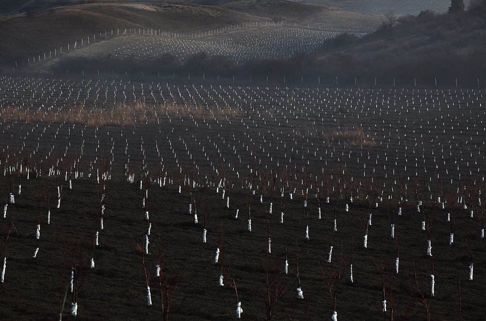 Photograph by Александр