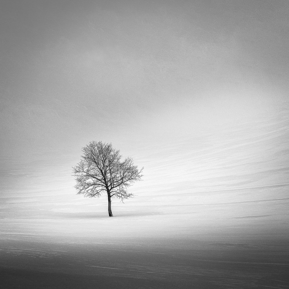 Фотография автора Евгений