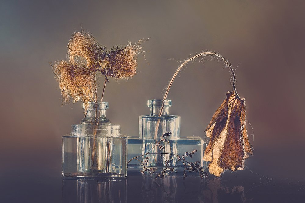 Photograph by MVO (Марк Орлов)