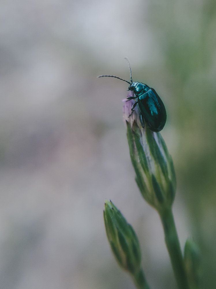 Photograph by Tatyana Belova