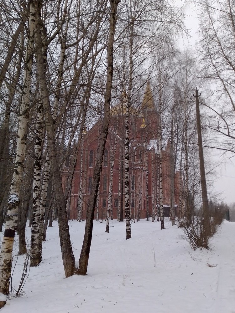 Photograph by Нина Гирнык