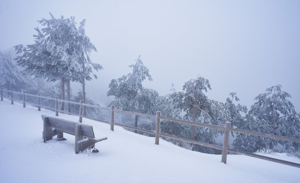 Photograph by Oscar Lata