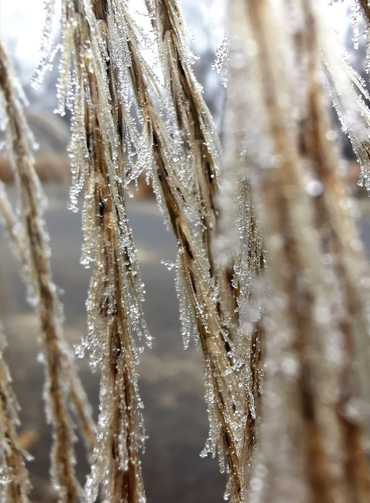 Photograph by Palina Mikhailouskaya