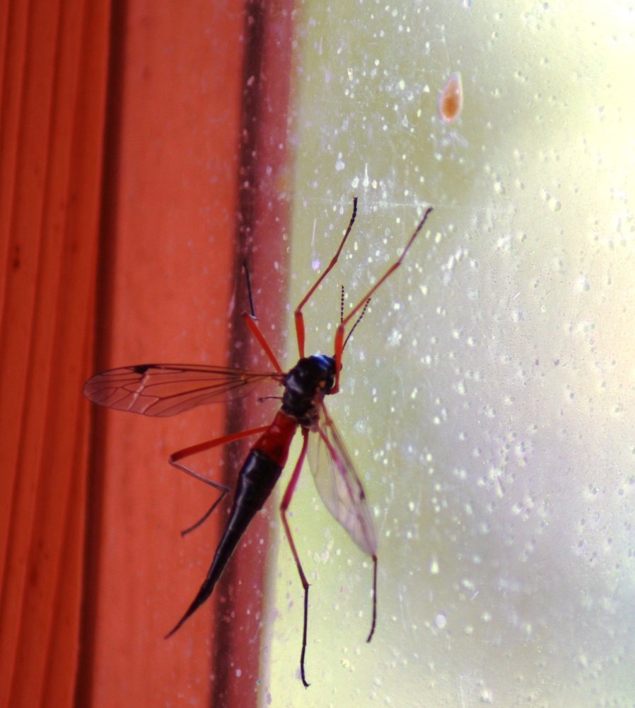 Photograph by Валентина