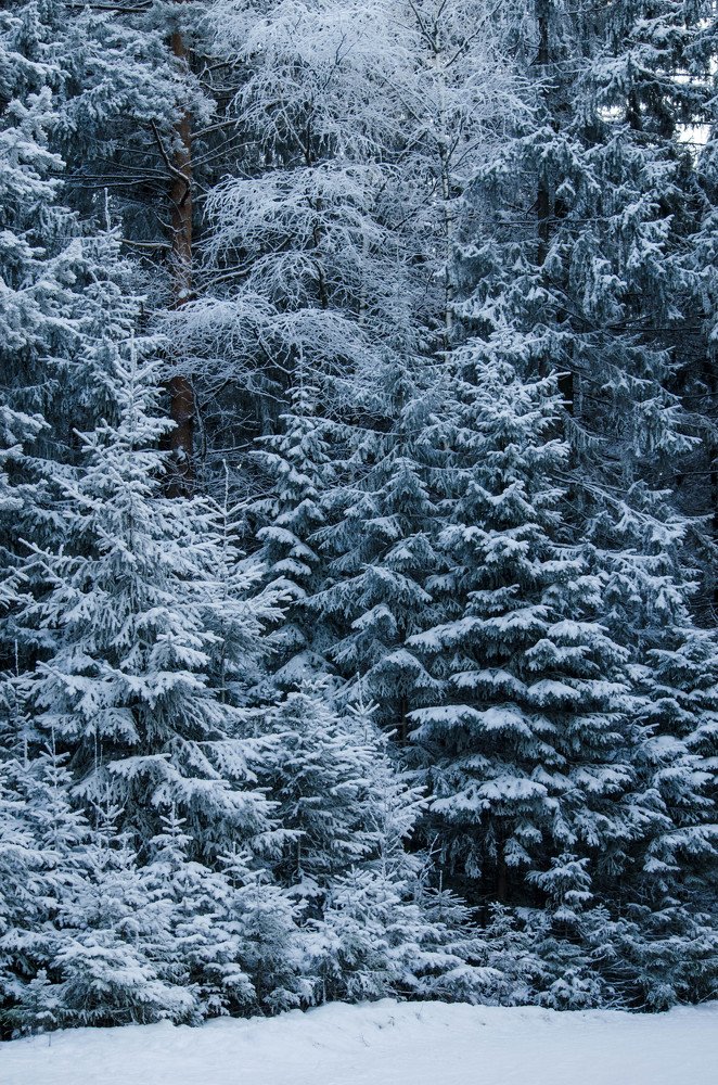 Photograph by Ирина