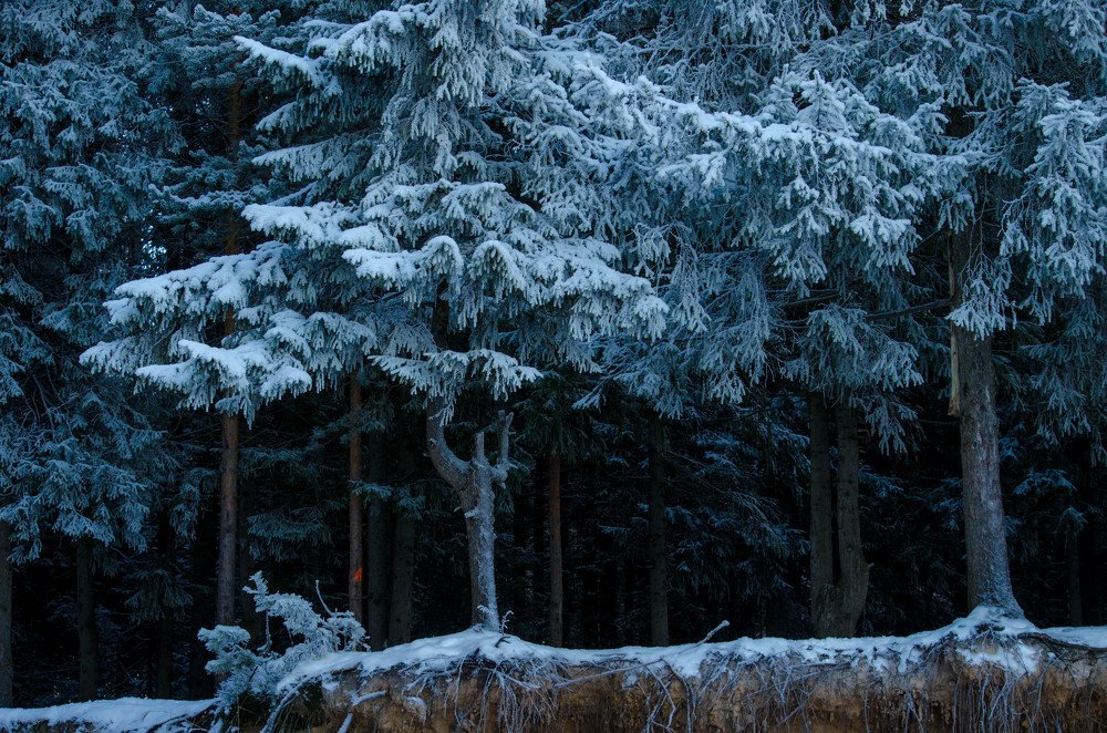 Photograph by Ирина