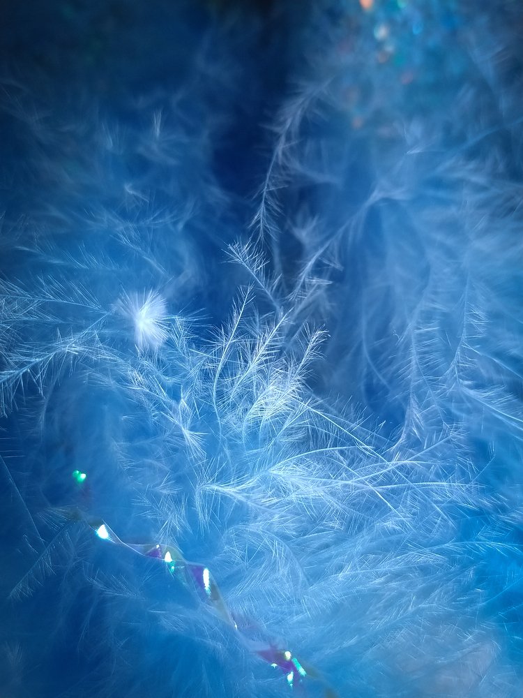 Photograph by Екатерина Зубарева