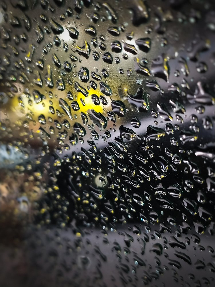 Photograph by Екатерина Зубарева