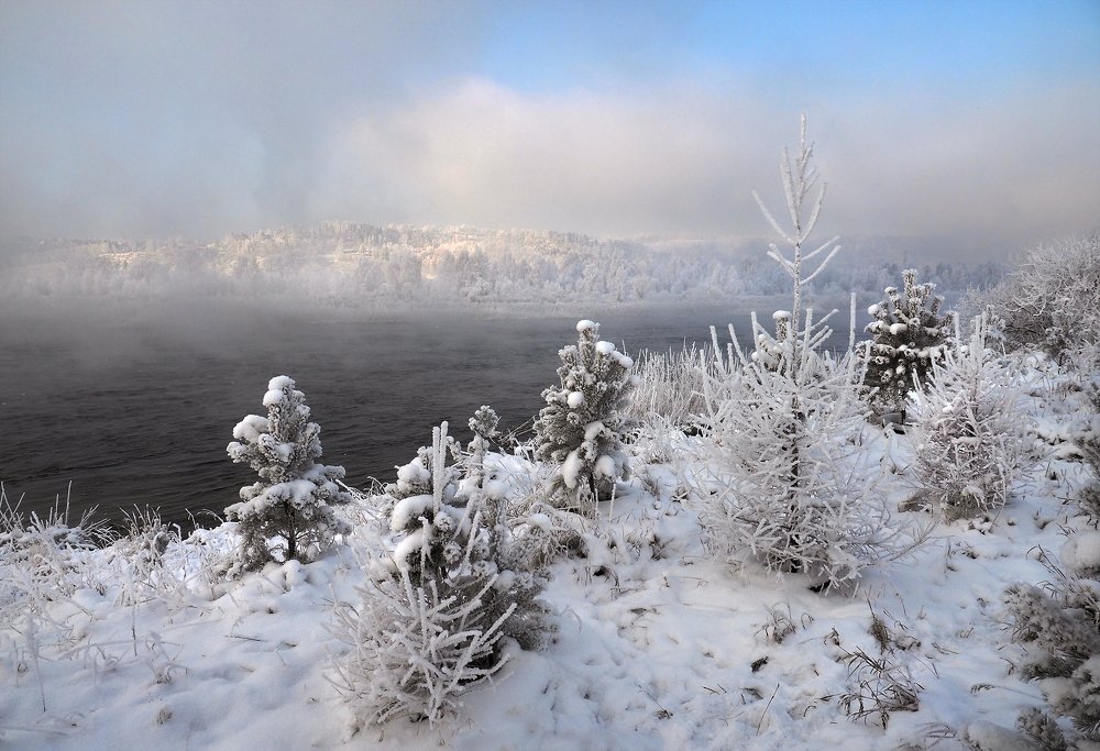 На холодном берегу