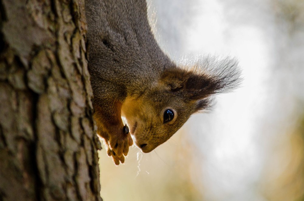 Photograph by Ирина