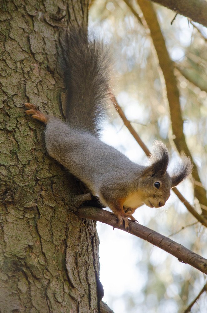 Photograph by Ирина