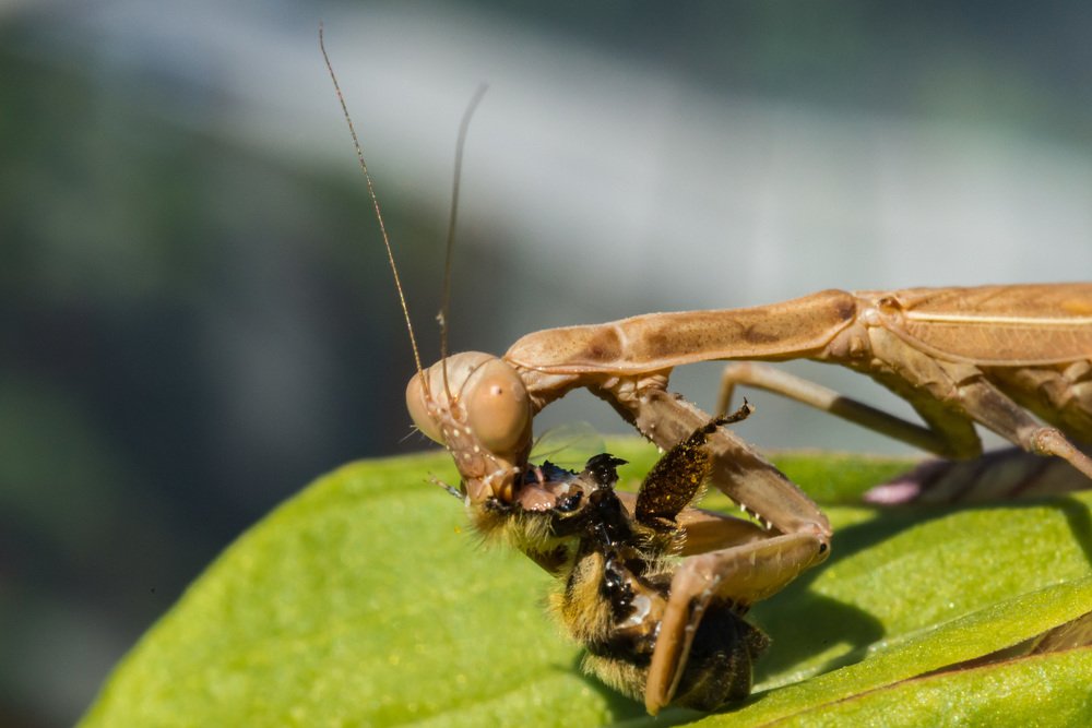 Photograph by Rimma Volchenko