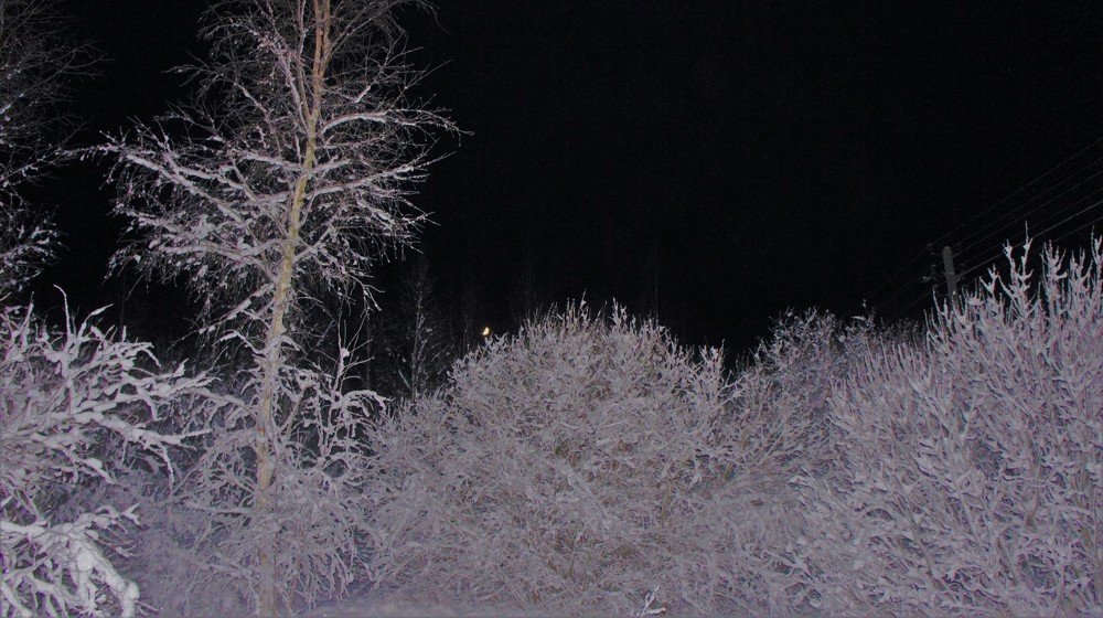 Photograph by Екатерина Апрелева