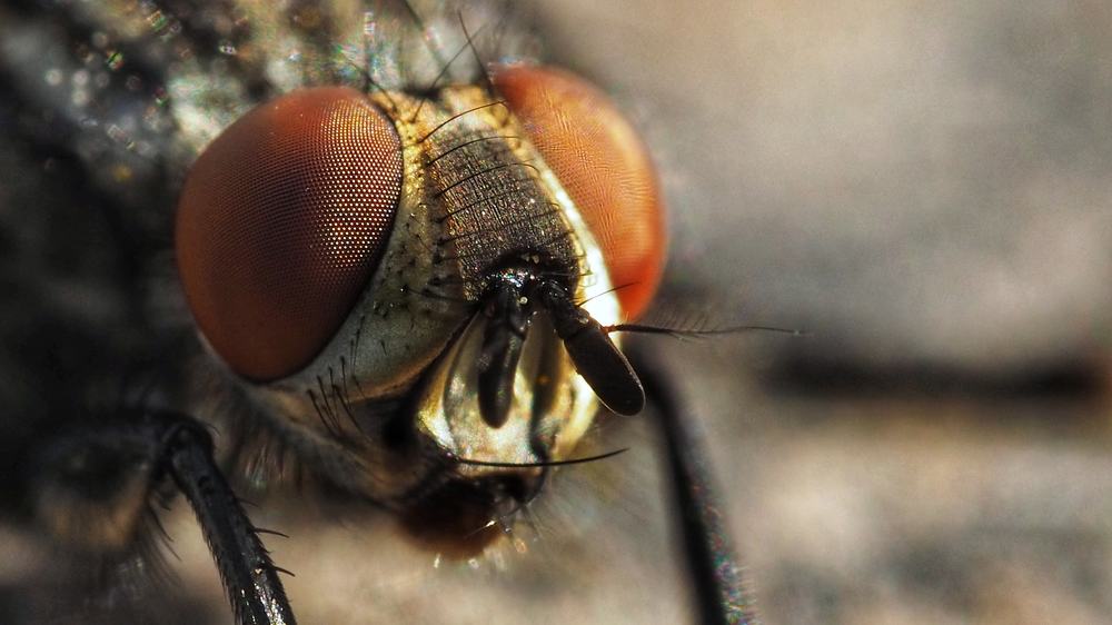 Photograph by Ольга Линк