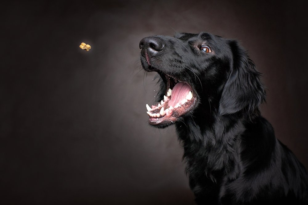 Photograph by Petra Ulrychová