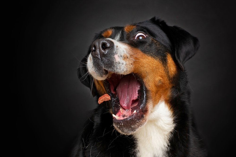 Photograph by Petra Ulrychová