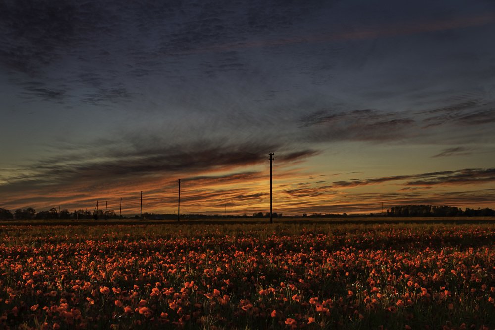 Photograph by Ivars Salmanis