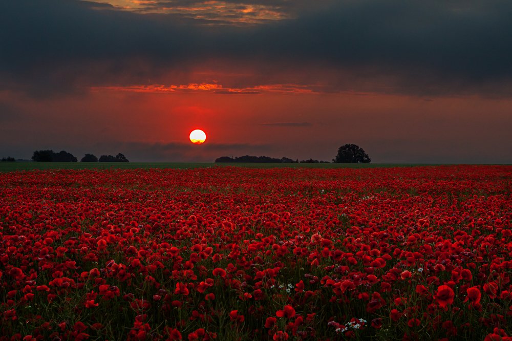 Photograph by Ivars Salmanis