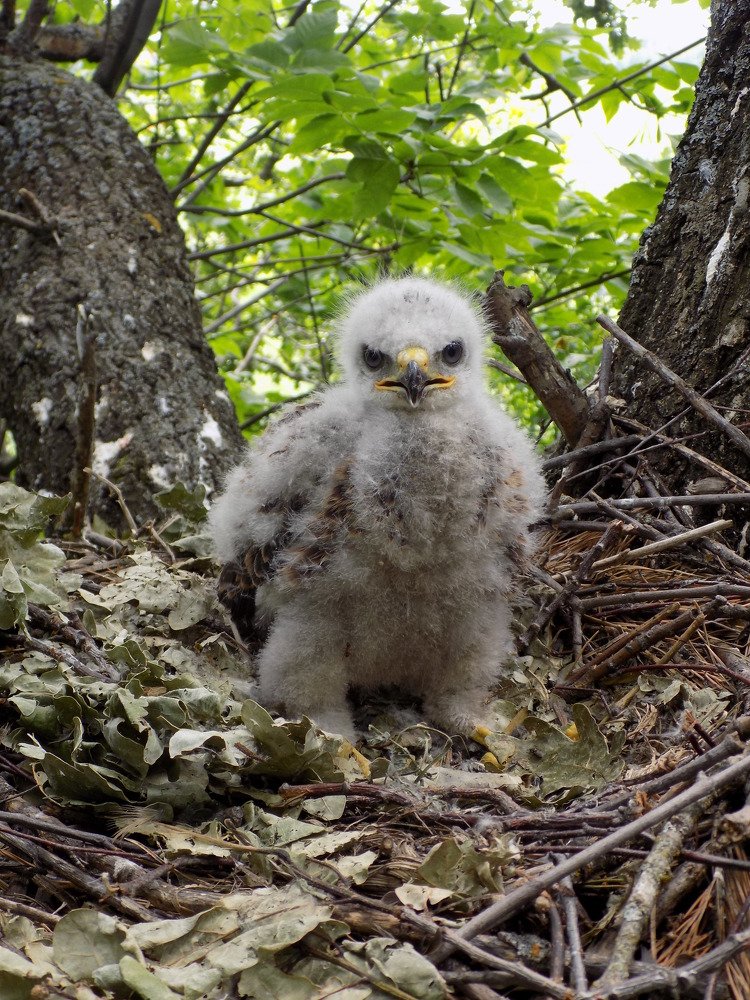 Photograph by Виктория Подрезова
