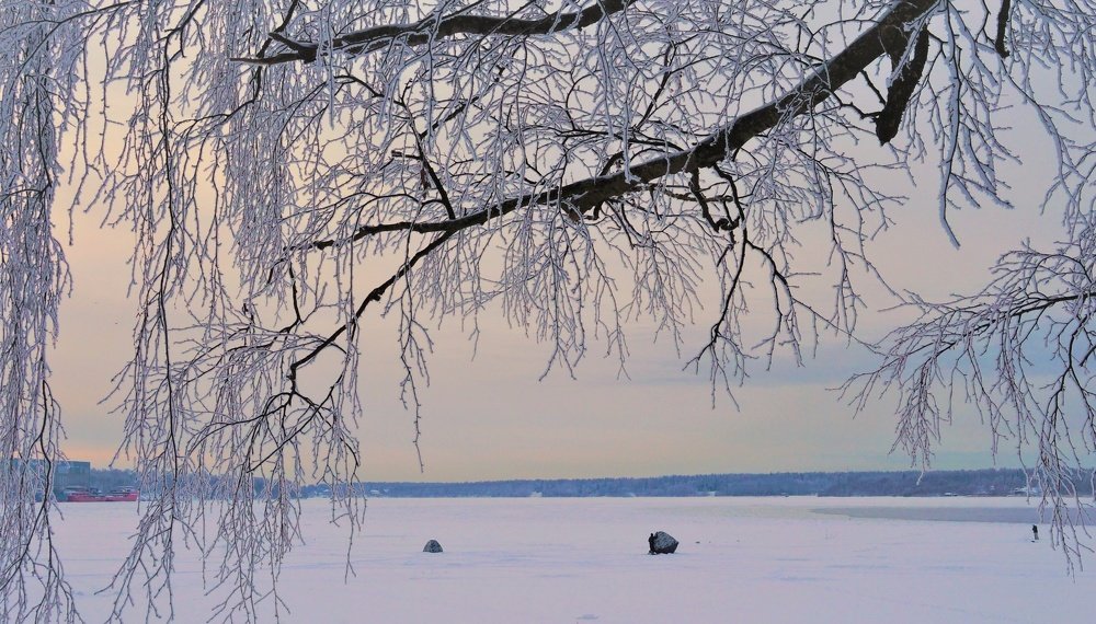 Photograph by Екатерина Апрелева