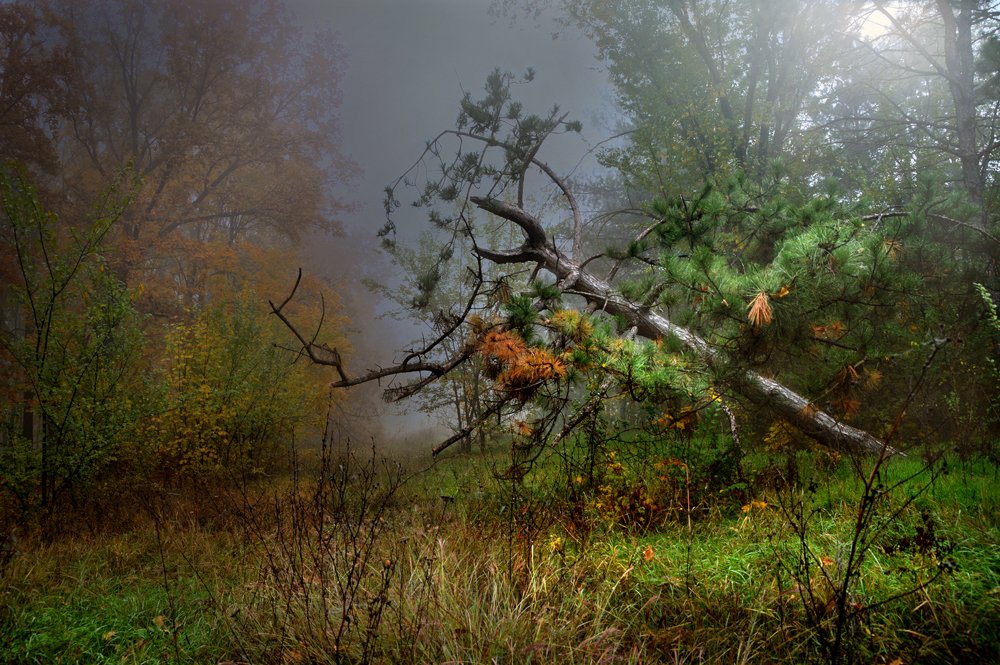 Photograph by Юрий Соловей