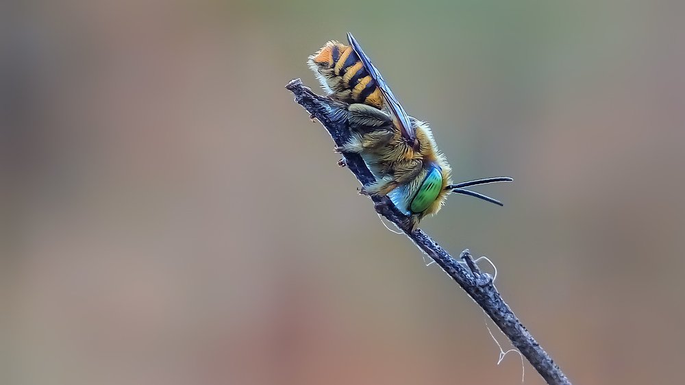 Photograph by Ibnu Latif